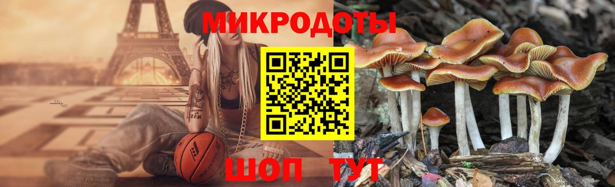 Галлюциногенные грибы Magic Shrooms  Вход с VPN  купить   Волгодонск 
